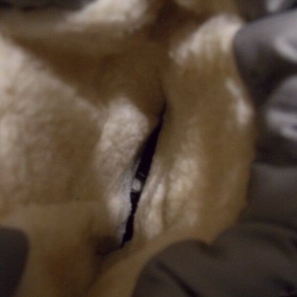 Ecco Trace Gray Snowboot - Picture 5 of 12